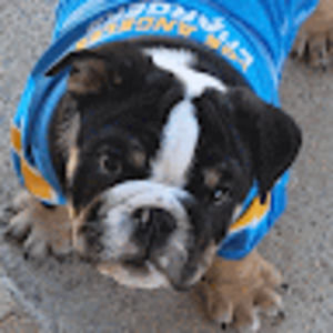 Meet your Posher, Robert